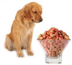 pet foods