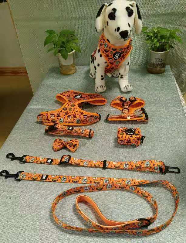 DOG LEASHES ORANGE